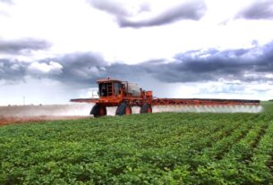 Liberação de agrotóxicos bate recorde em 2024