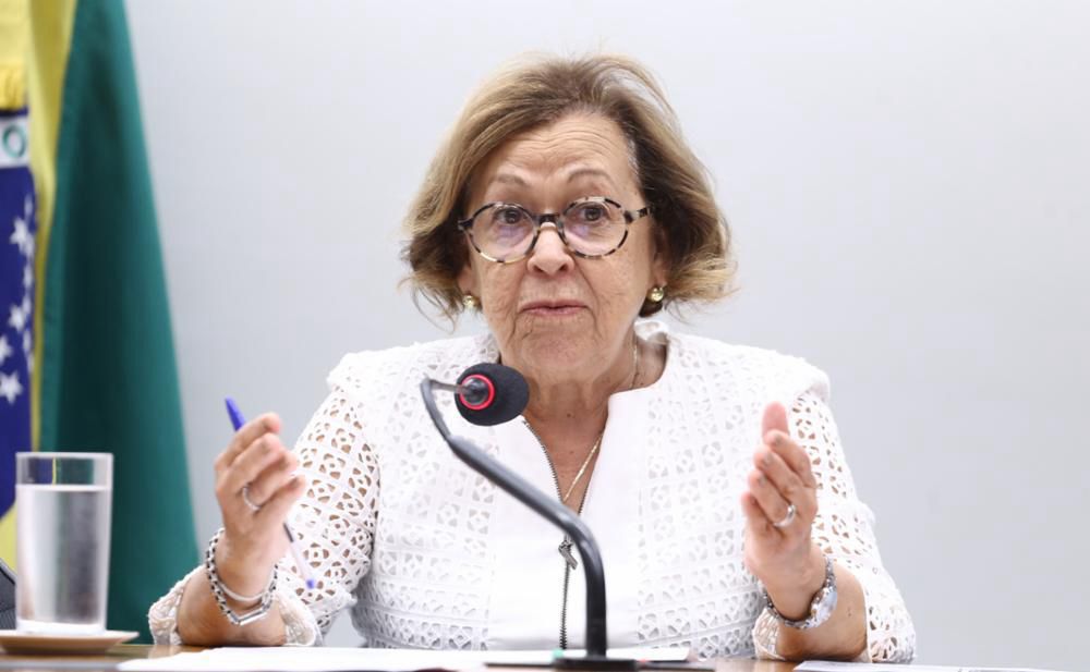 Lídice defende implantação da Política Nacional de Desenvolvimento da Economia Criativa
